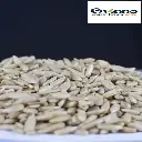 Roasted [air fry] Sunflower Seed (ভাঁজা সূর্যমুখী বীজ) 