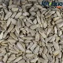 Roasted [air fry] Sunflower Seed (ভাঁজা সূর্যমুখী বীজ) 