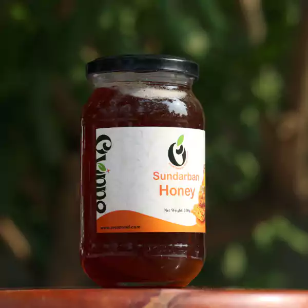 Sundarban Natural Honey (সুন্দরবনের মধু) 